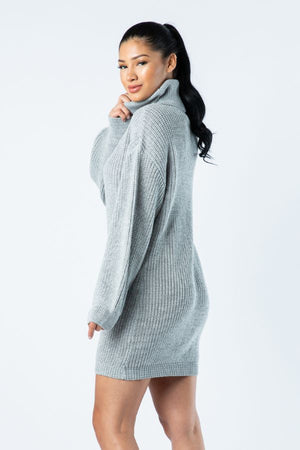 Big Knit Turtleneck Sweater Dress