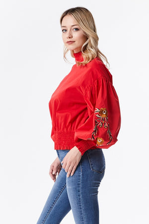 Puff Blouse with Embroidered Sleeve