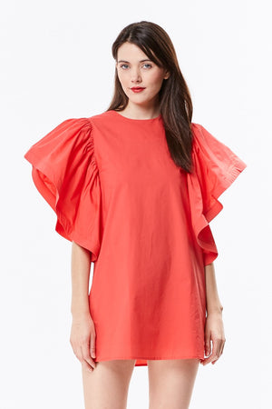 Shirt Dress with Flutter Sleeves