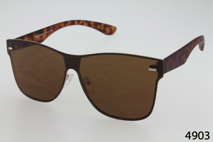 Single Lens Wayfarer Sunglasses