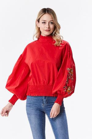 Puff Blouse with Embroidered Sleeve